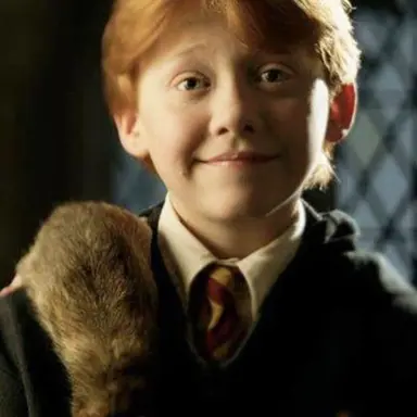 Profile image of Ron Weasley