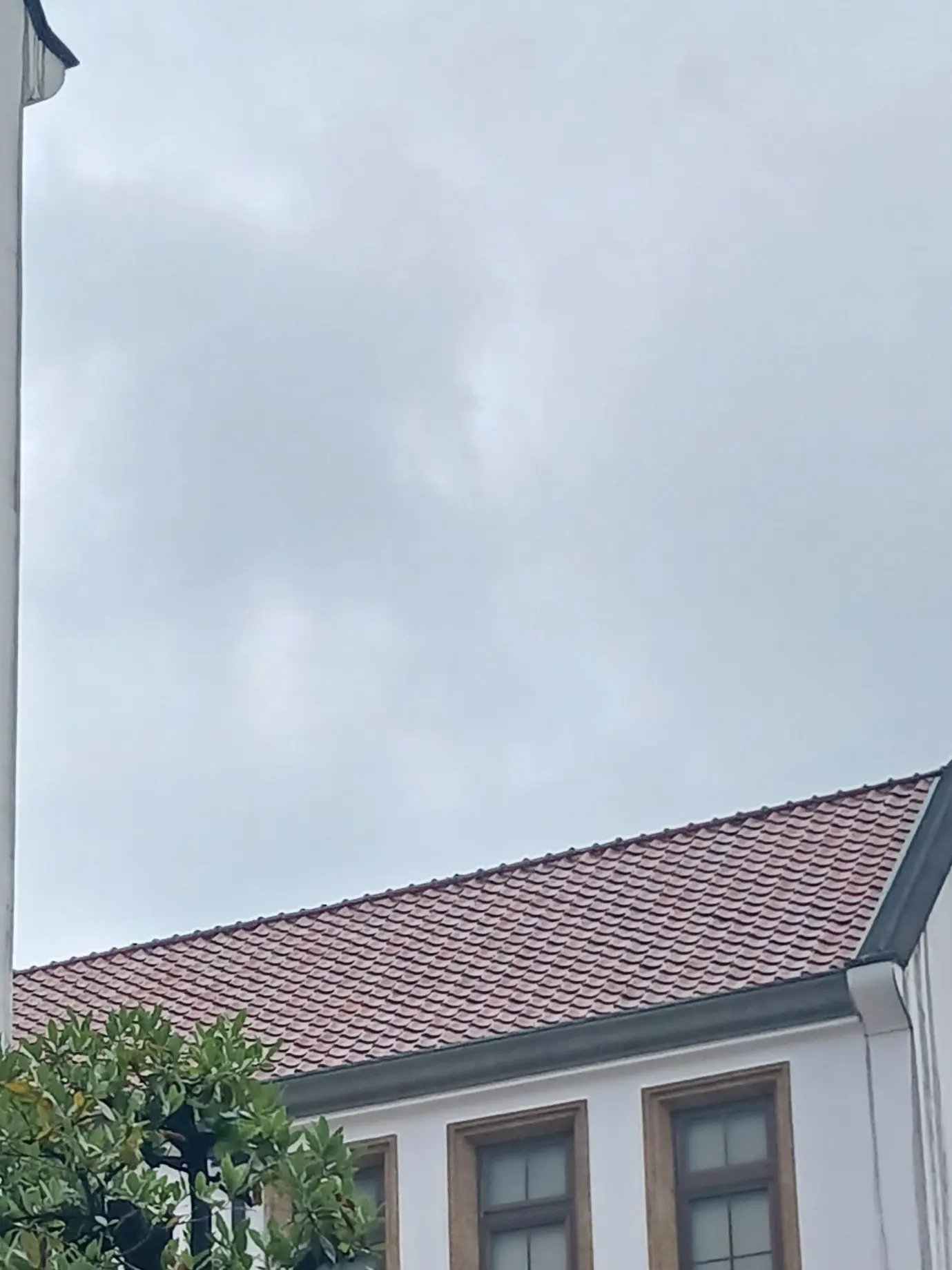 PoorCello9524의 変な生き物、拾いました