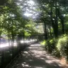Profile image of 이병재