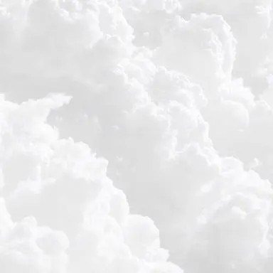 Profile image of Ruki