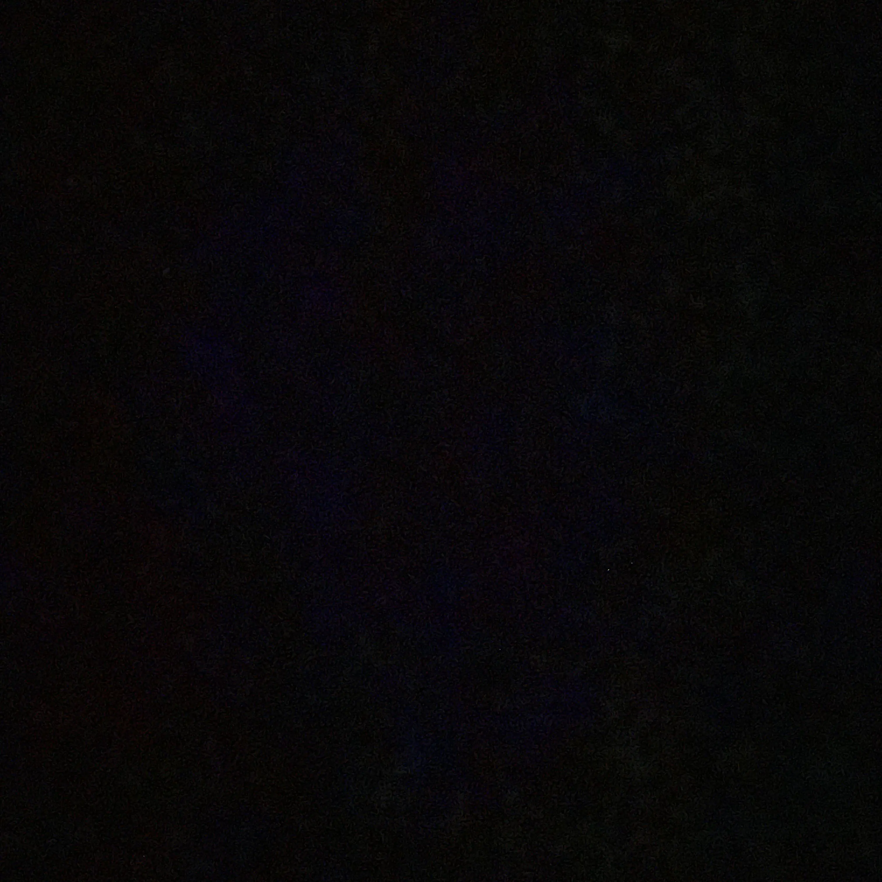 CloudyShoes2029의 주토피아