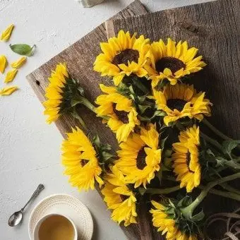 Profile image of 각별 경사