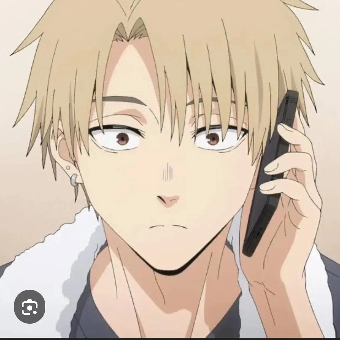 R-1의 桔梗と千鳥