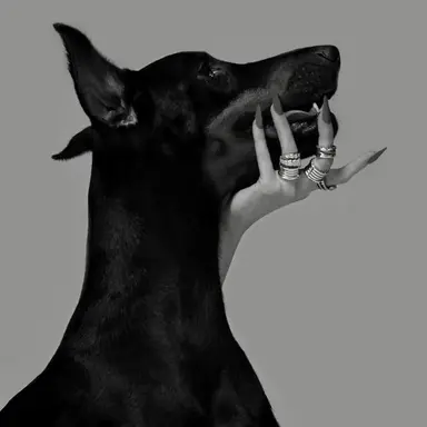 Profile image of Trigger