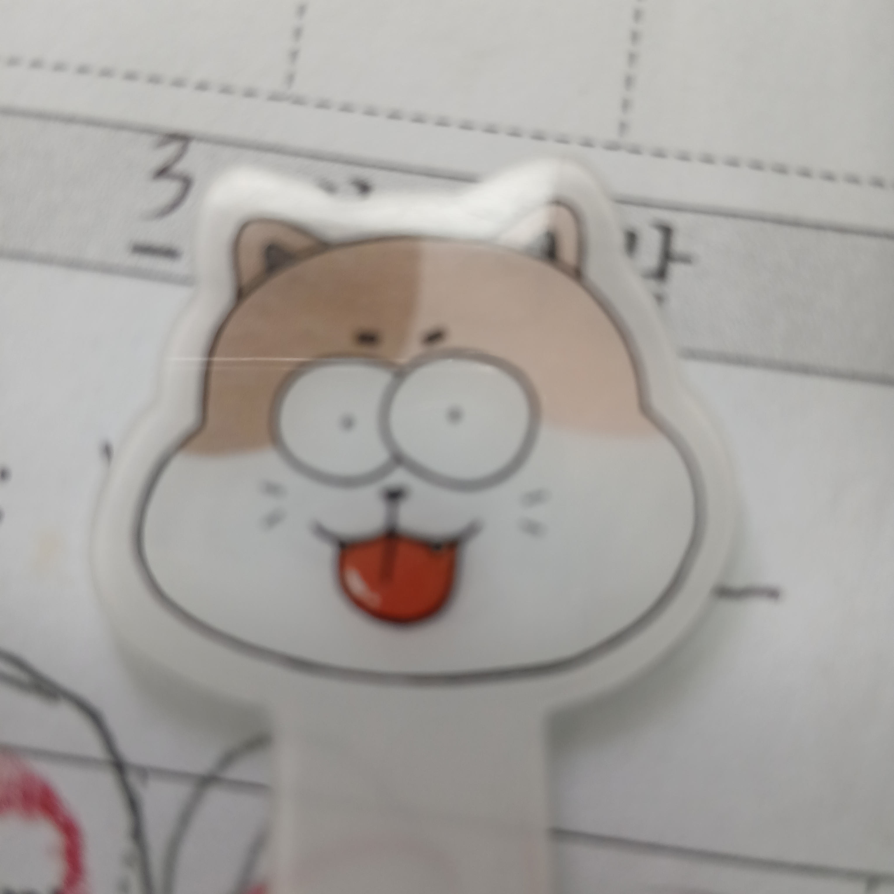 김율아 대표 이미지