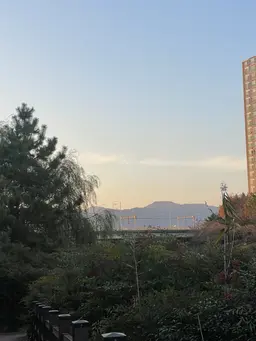 Profile image of 지또지