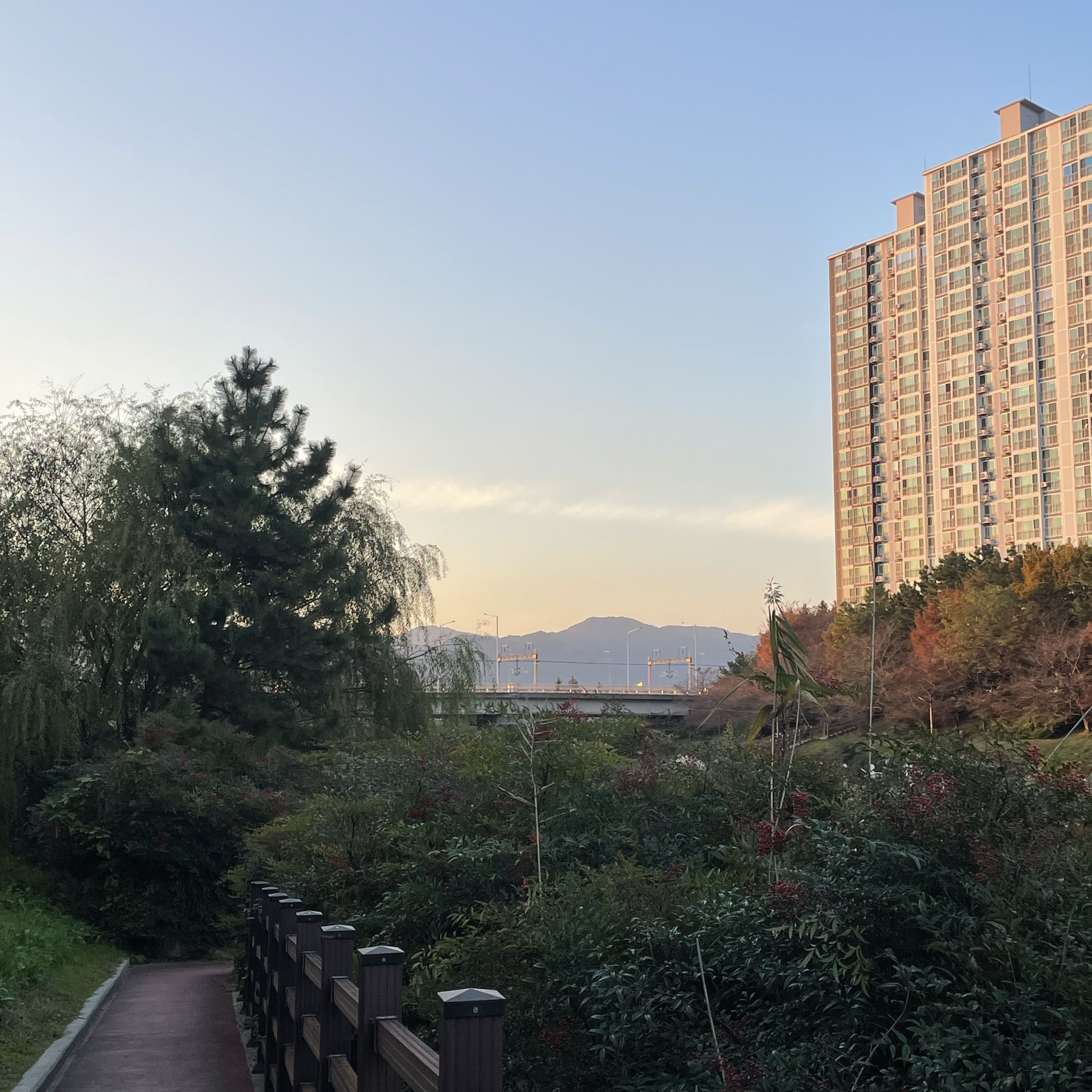 지또지 대표 이미지