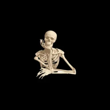 Profile image of 임호영