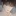 임류현