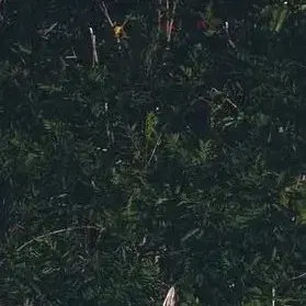 PoeticEel6710의 Create your own Story