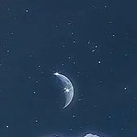 Profile image of パイモン
