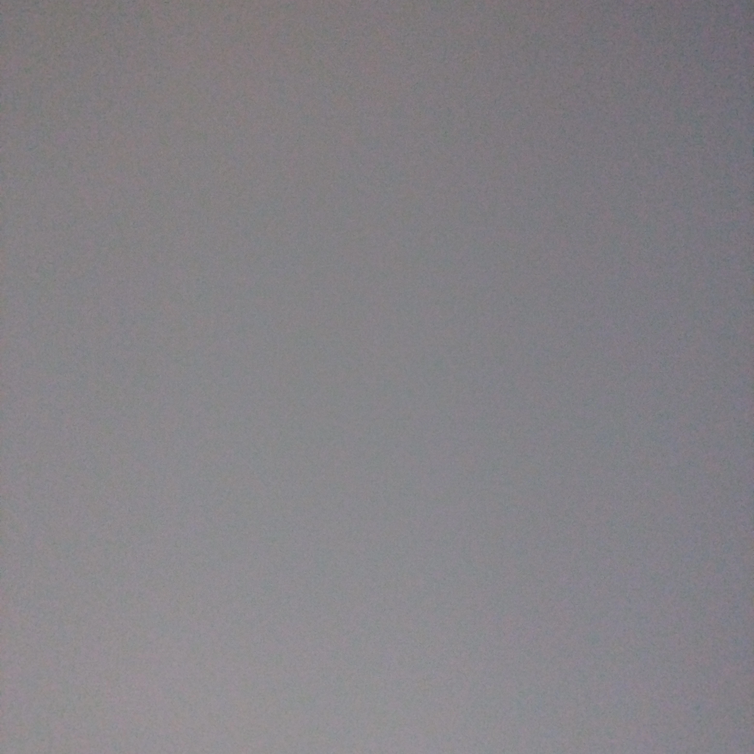 김동준