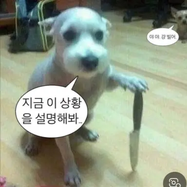 Profile image of 박민준