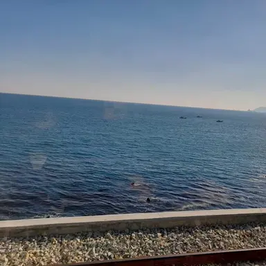 Profile image of 정이안