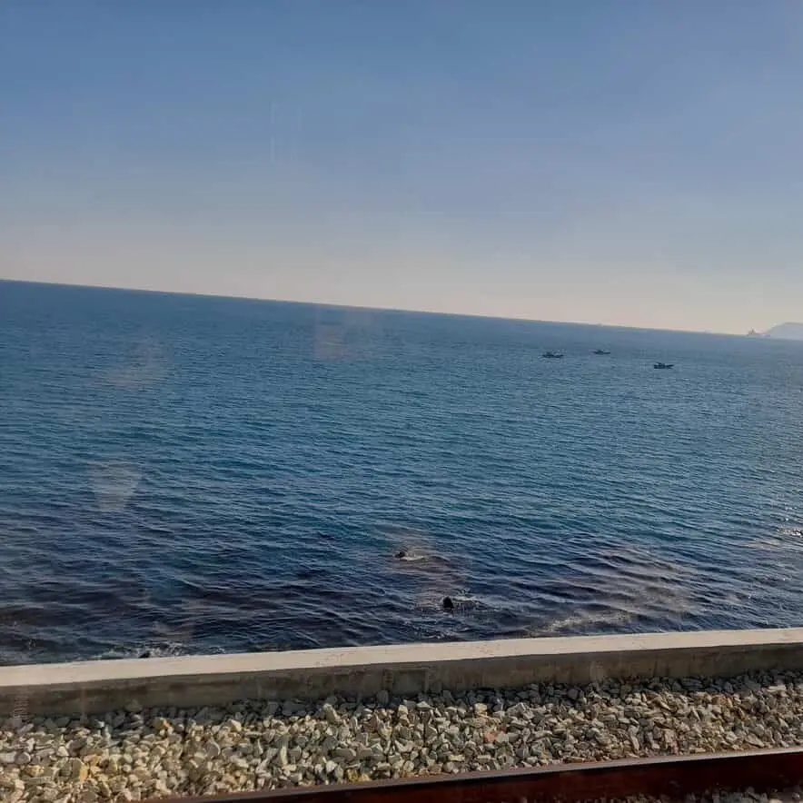 DottedDish8155의 정이안[g|]