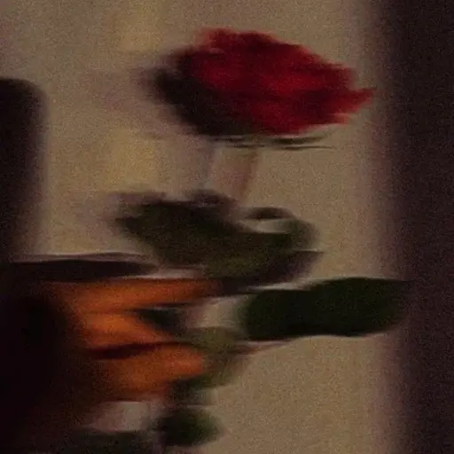 bIn0_5199의 건