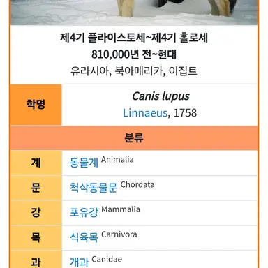 Profile image of 늑대