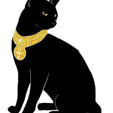Profile image of Luna