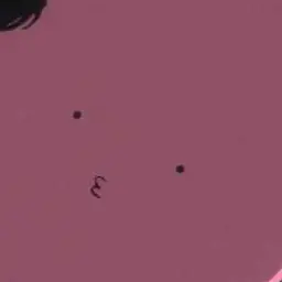 Profile image of タコピー