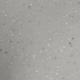 和泉