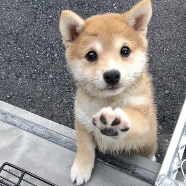 Profile image of ジョンハン