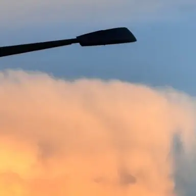 Profile image of 유하린