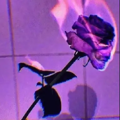 Profile image of 수현