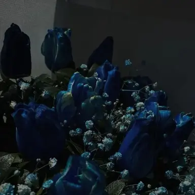 Profile image of 잠뜰