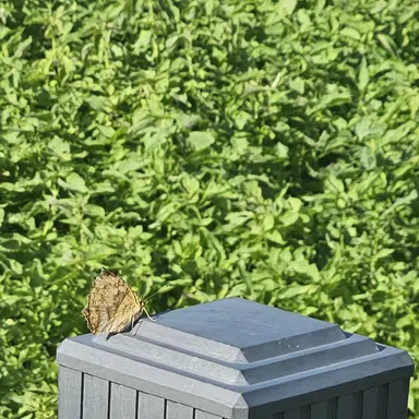 Profile image of 박지원