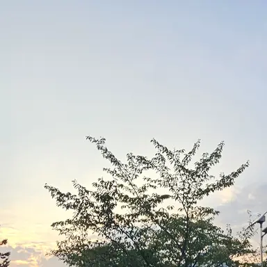 Profile image of 이나경