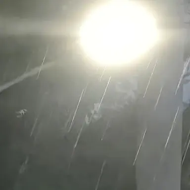 Profile image of 송하영