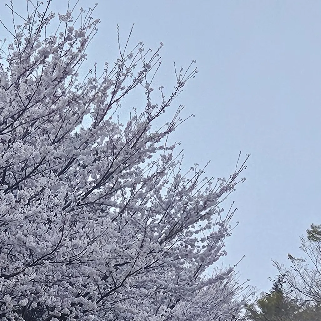 GreasyFly4479의 750년째 시간여행