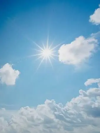 pacificsaury의 おおかみこども