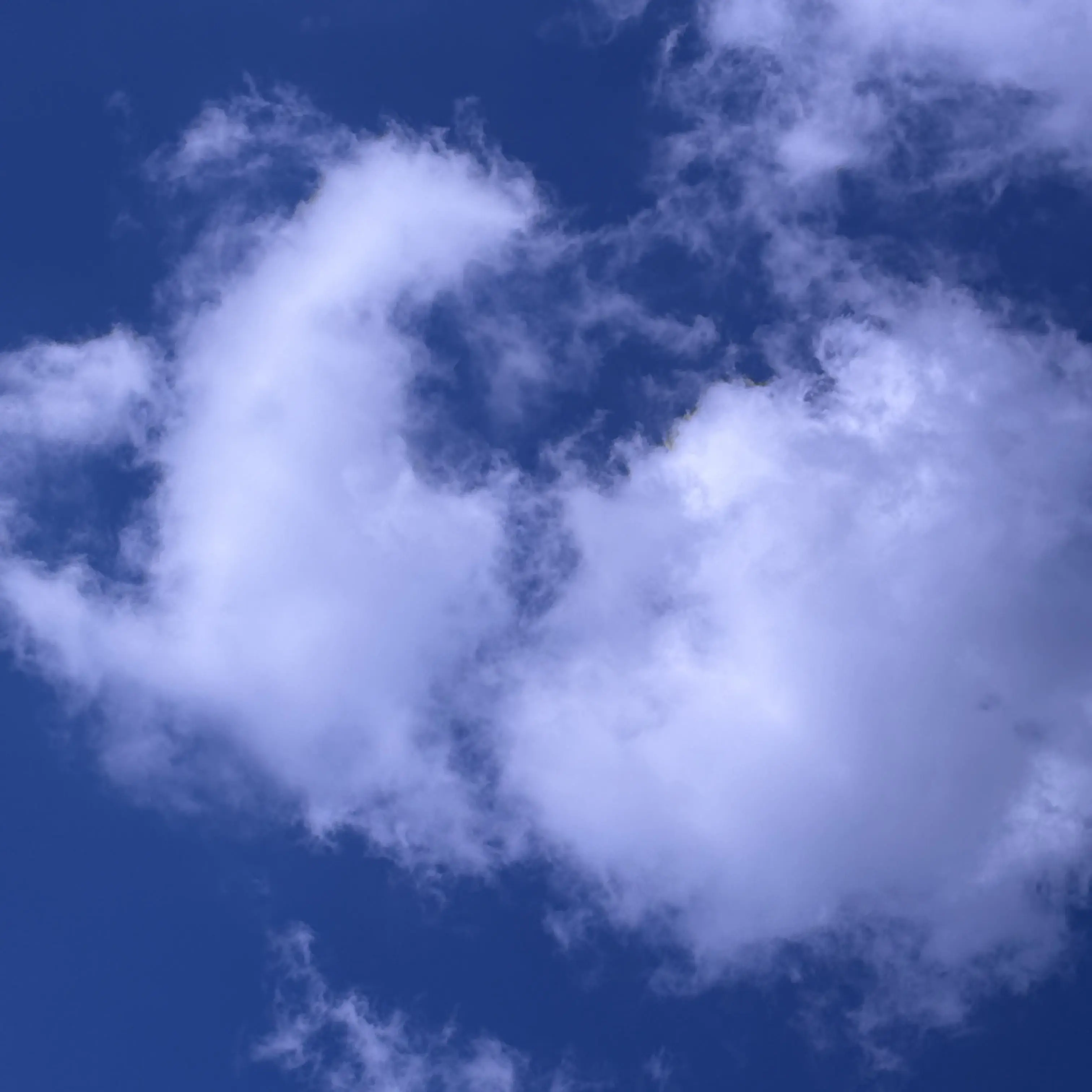 CurvyBloom5607의 (미수반2p)