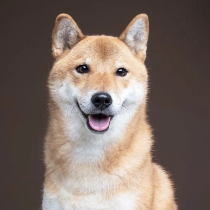 파피리