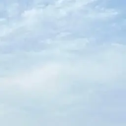 AcridTrain6834의 퍼스트 라이드