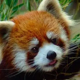통규