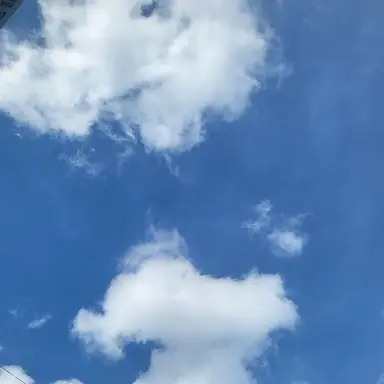 Profile image of 이유진