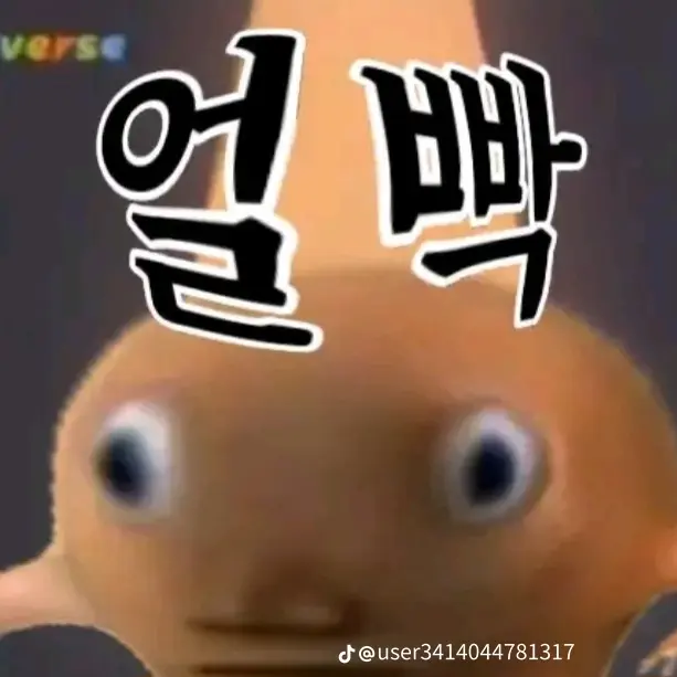 LushShell2104의 홍민기