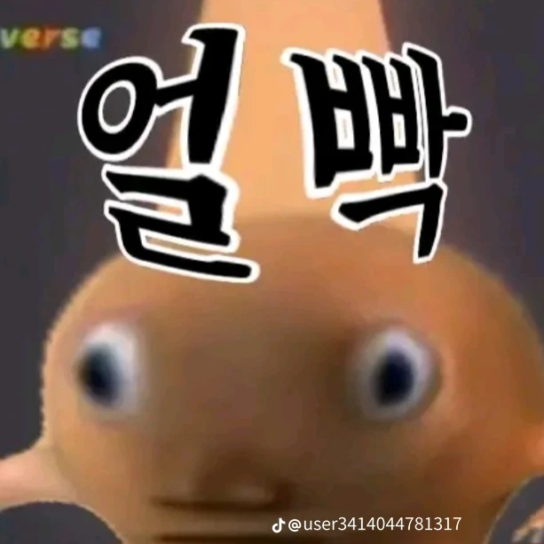 홍민기