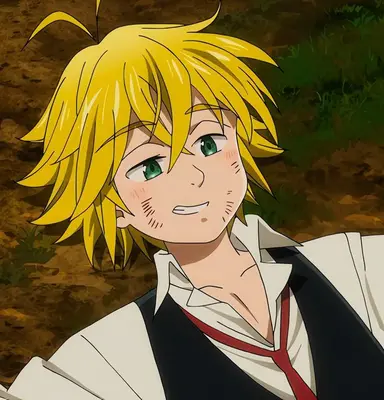 Profile image of Meliodas