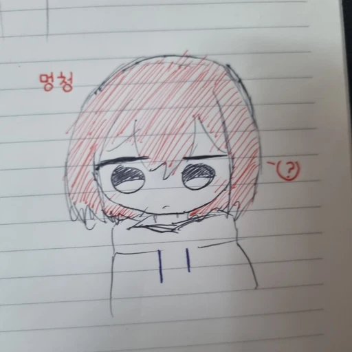 이카