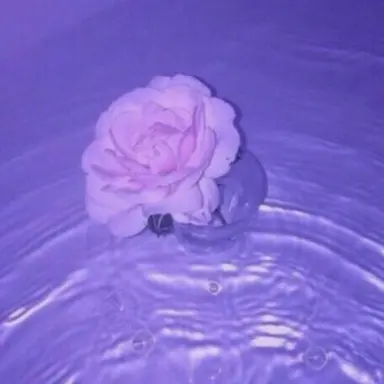 Profile image of 수현