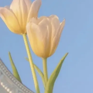 Profile image of 각별