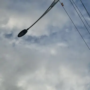 Profile image of 연이