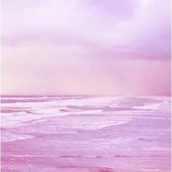 Profile image of 감제이