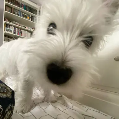 Profile image of 김주훈