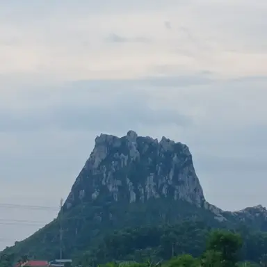 Profile image of 우참