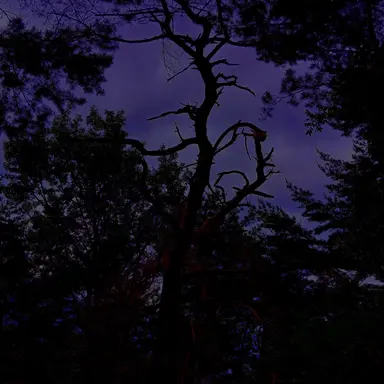 Profile image of 여미새 남미새 듀오