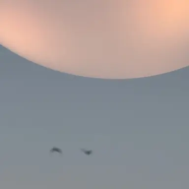 Profile image of サンウォン